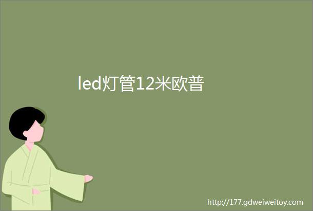 led灯管12米欧普